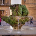  DSC2557