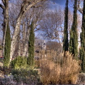  DSC2527