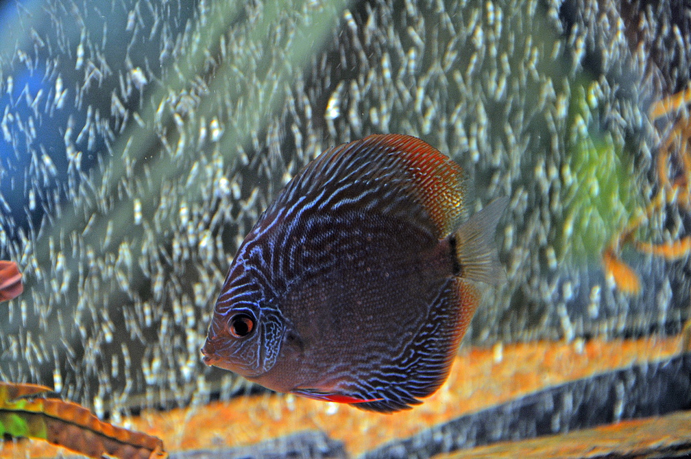 DSC_023902.jpg