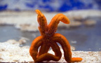 DSC 0310