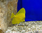 DSC 0336