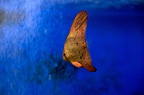 DSC 0349