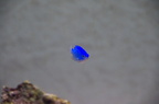 DSC 0379