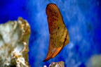 DSC 0403