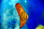 DSC 0404