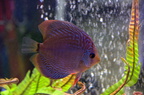 DSC 0719