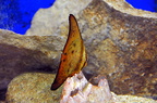 DSC 1091