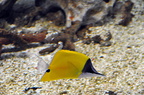 DSC 1264