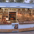  DSC2553 02