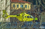  D032381