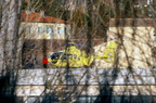 D703599