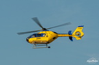  D031544