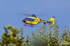  D031553