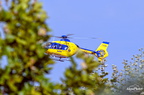  D031554