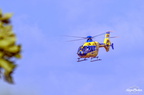  D031556