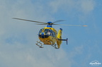  D031557