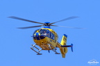  D031559