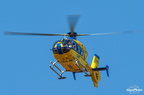  D031560