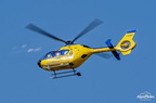  D031567