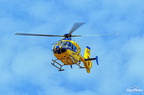  D031570