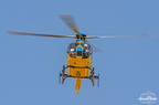  D031846