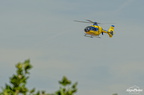  D709019