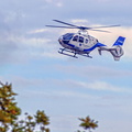  D031917