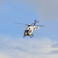  D031929