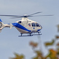  D032021