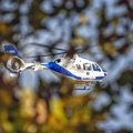  D032050