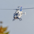  D032124