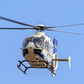  D032131