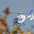  D032135
