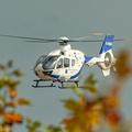  D032137