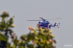  D031580