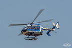  D031582