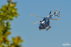  D031593