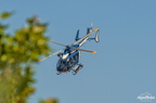  D031594