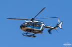 D031595