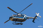  D031596