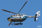  D031597