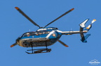  D031598