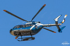  D031599