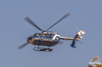  D031879