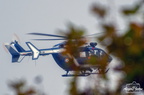  D032075
