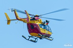  D031546