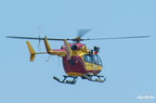  D031547