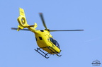  D036333