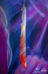  D705070