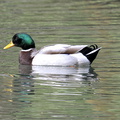 DSC0034